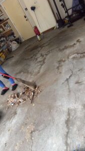 whatsapp image 2026 01 09 at 8.11.38 pm (1)