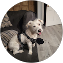 Home Ian Smith profile picture